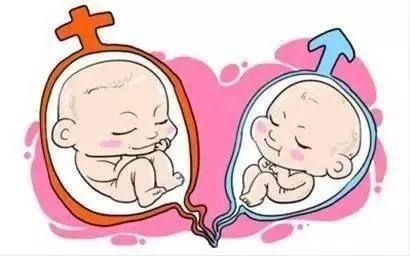 单身生育力保存